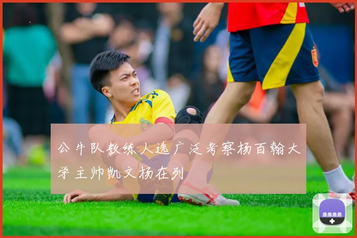 公牛队教练人选广泛考察杨百翰大学主帅凯文杨在列